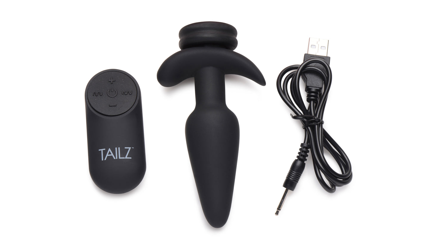 "Interchangeable 10x Vibrating Small Silicone Anal Plug With Remote TZ-AG838"