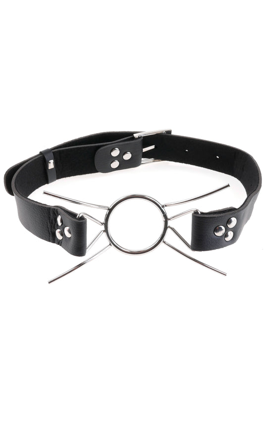 "Fetish Fantasy Extreme Spider Gag PD3630-00"