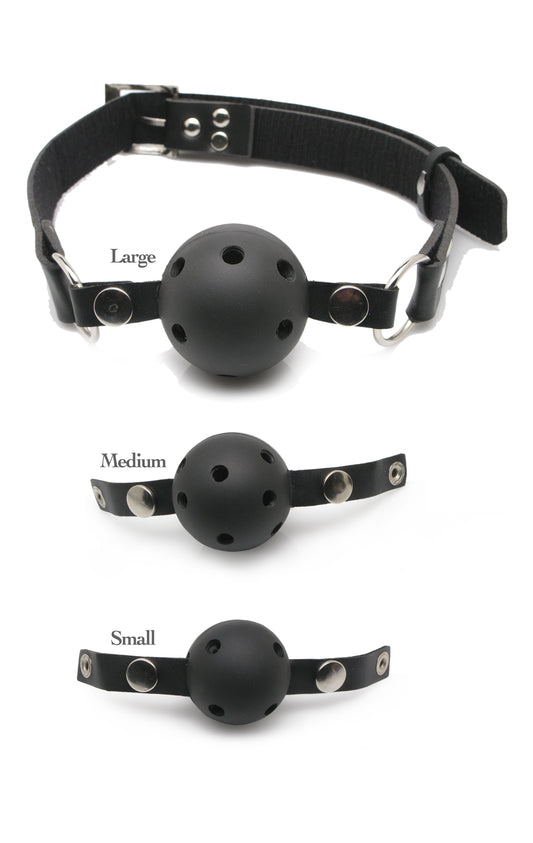 "Fetish Fantasy Series Ball Gag Training System PD3841-00"